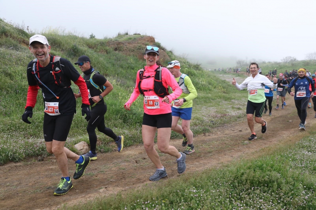 פורטל הכרמל