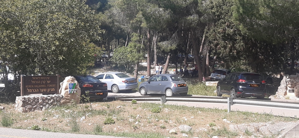 פורטל הכרמל