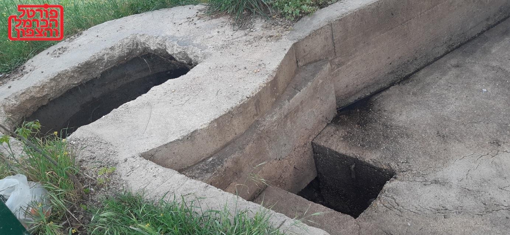 פורטל הכרמל