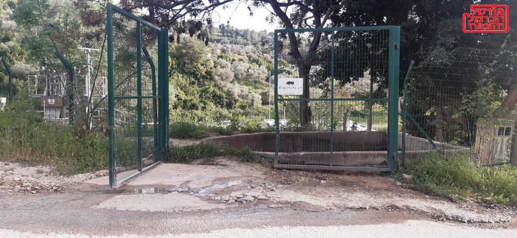 סכנת חיים בקדם טיפולי בדליה