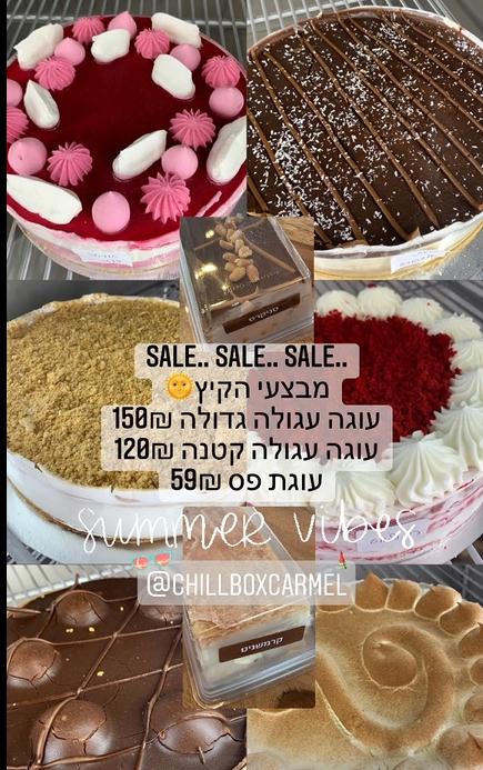 פורטל הכרמל