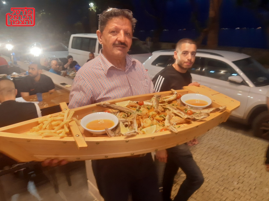 פורטל הכרמל