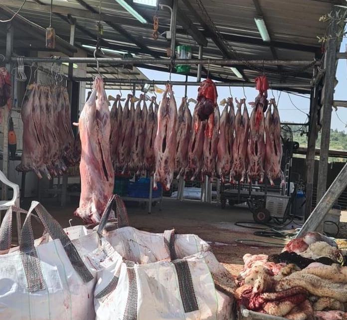 משחטה פיראטית שמכרה בשר ללא פיקוח