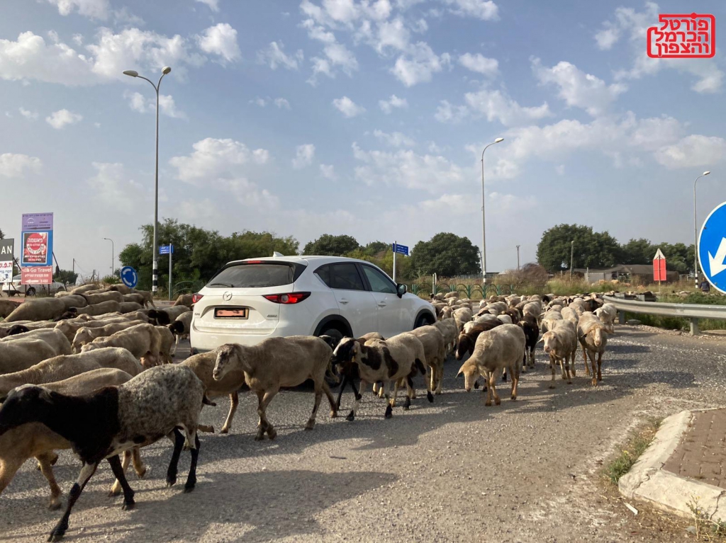 חינוך בחברה הערבית בישראל