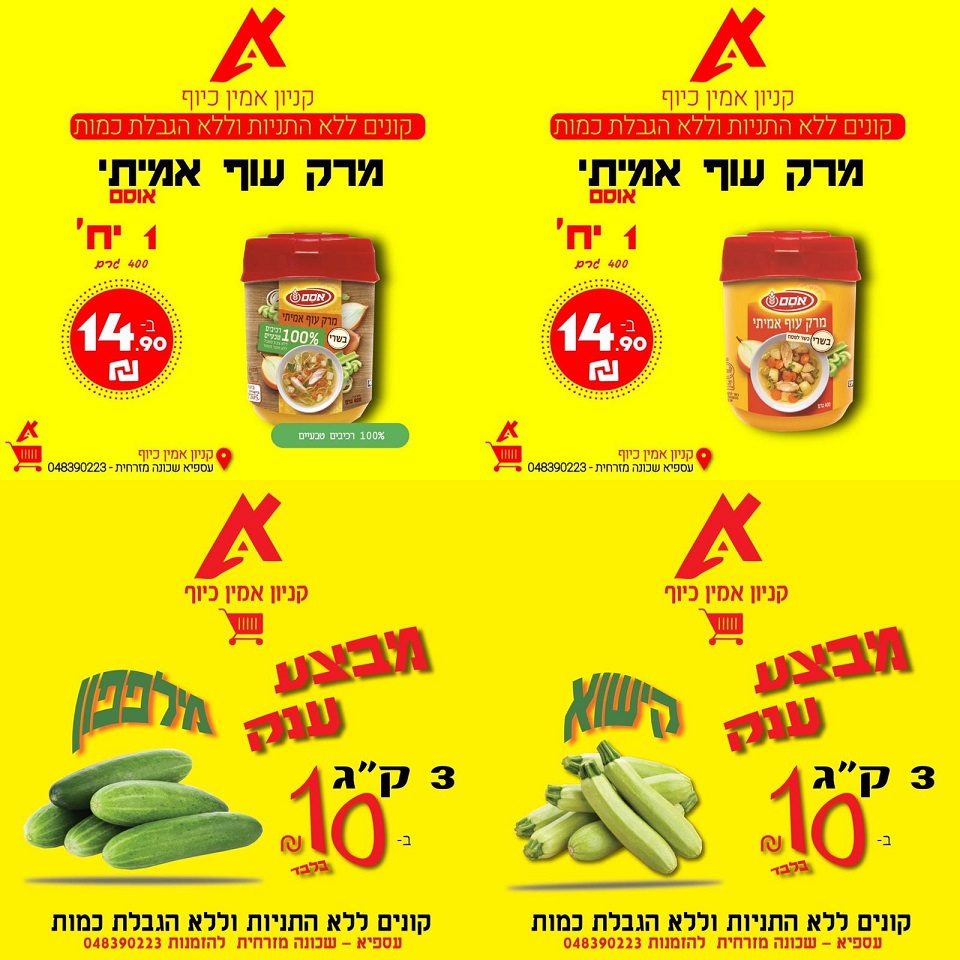 פורטל הכרמל