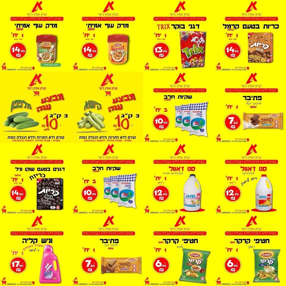 פורטל הכרמל