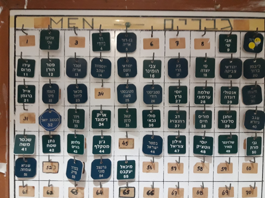 פורטל הכרמל