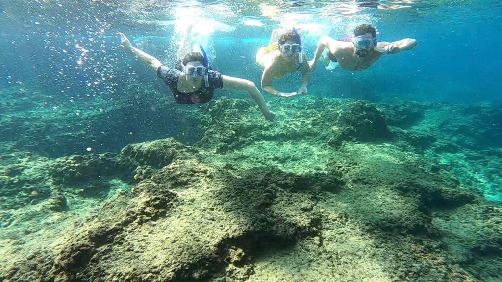 פורטל הכרמל