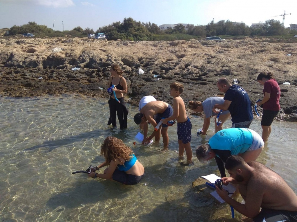 פורטל הכרמל