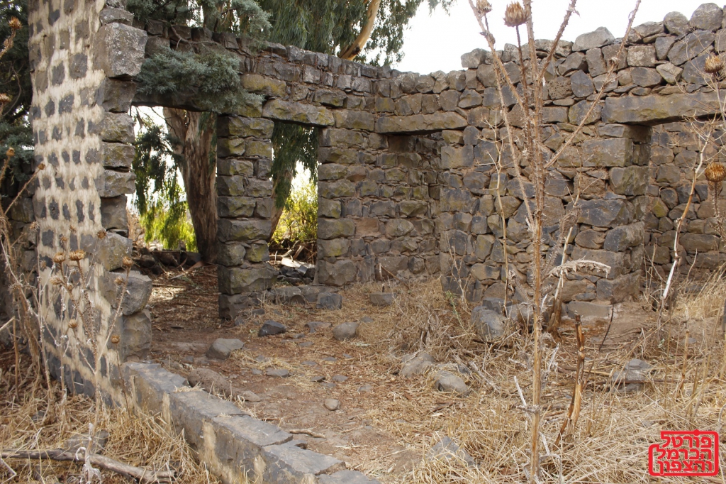 תל חושניה קשת בגולן