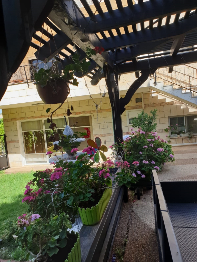 פורטל הכרמל