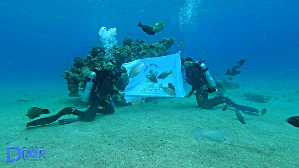 פורטל הכרמל