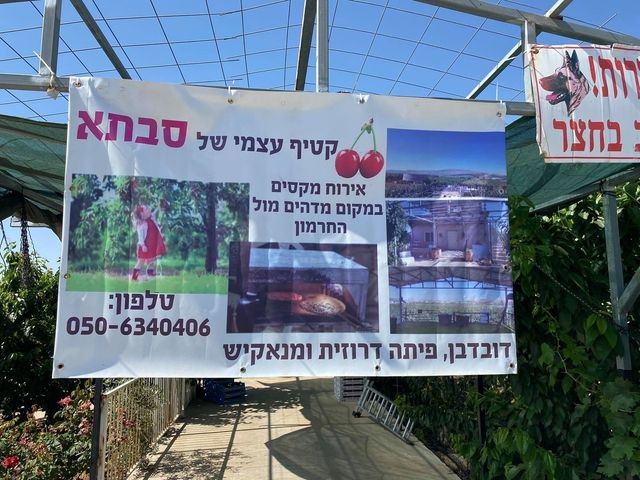 פורטל הכרמל