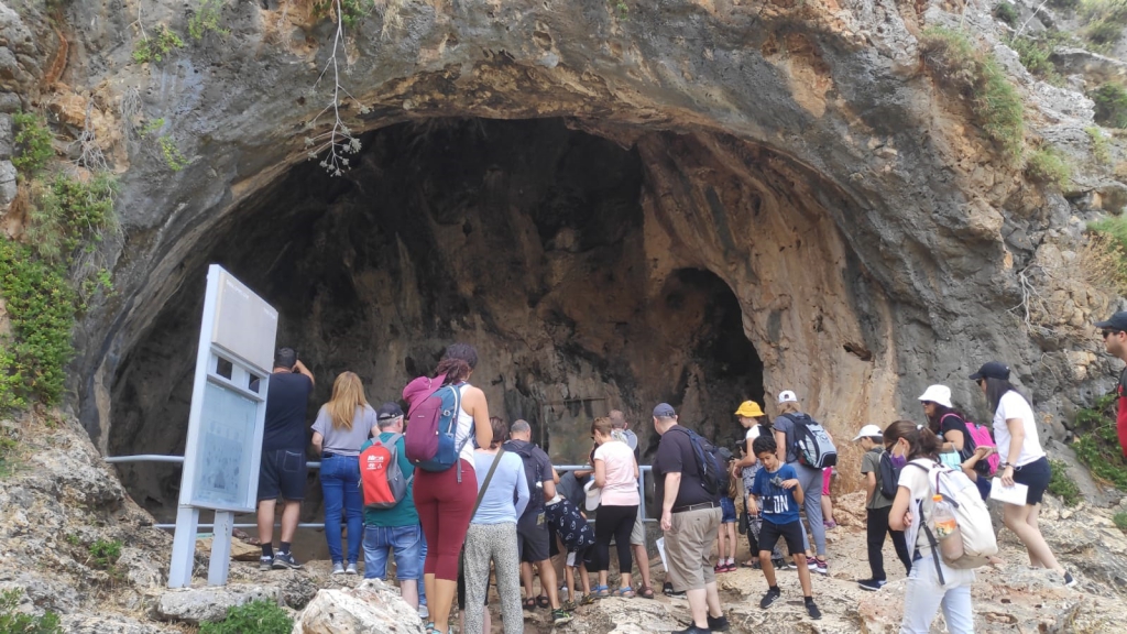 פורטל הכרמל