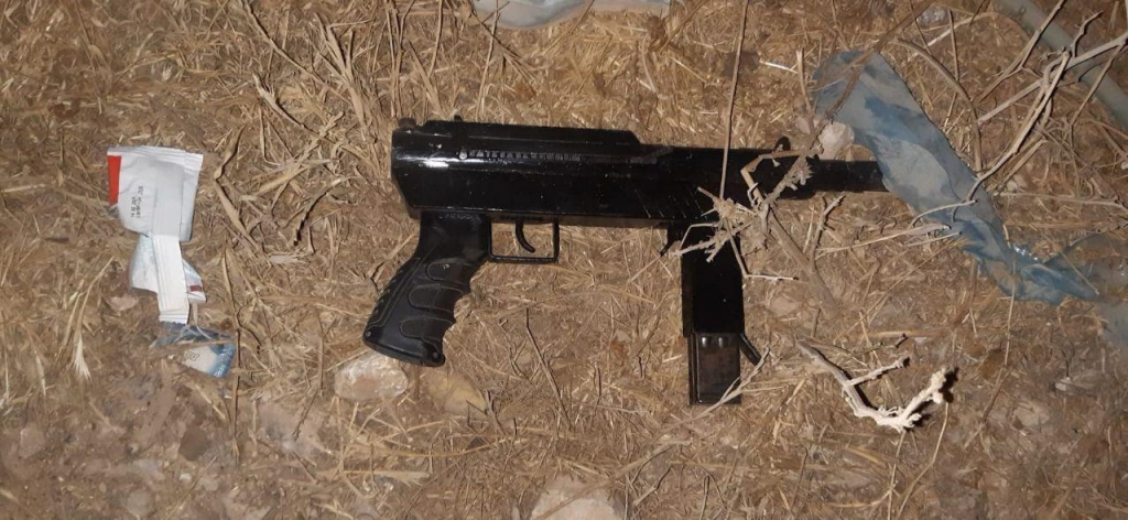 פורטל הכרמל