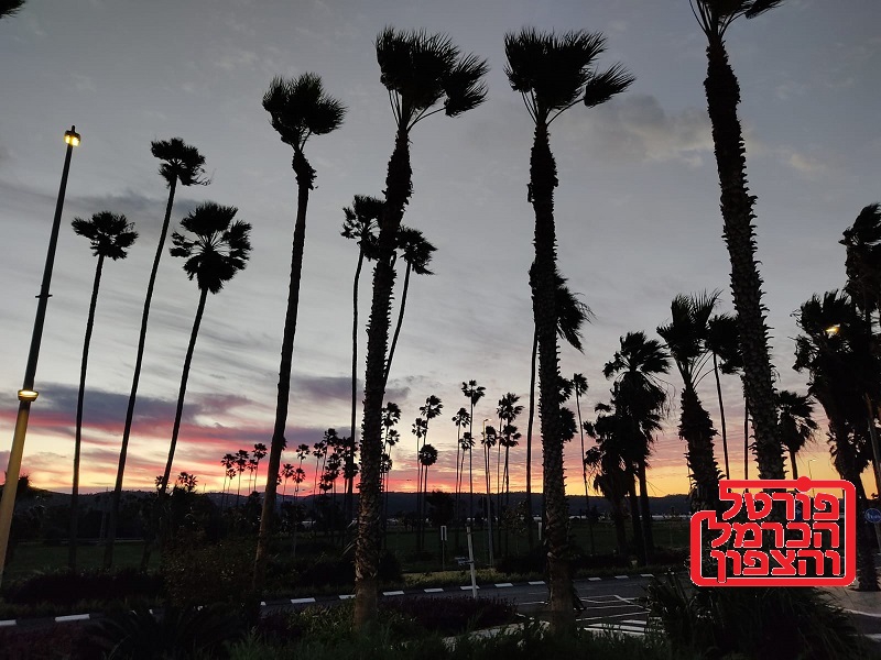 טייסת הרחפנים שתשמור על הטבע