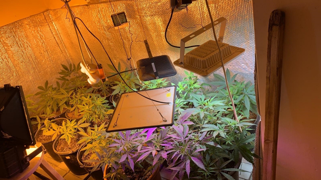 פורטל הכרמל