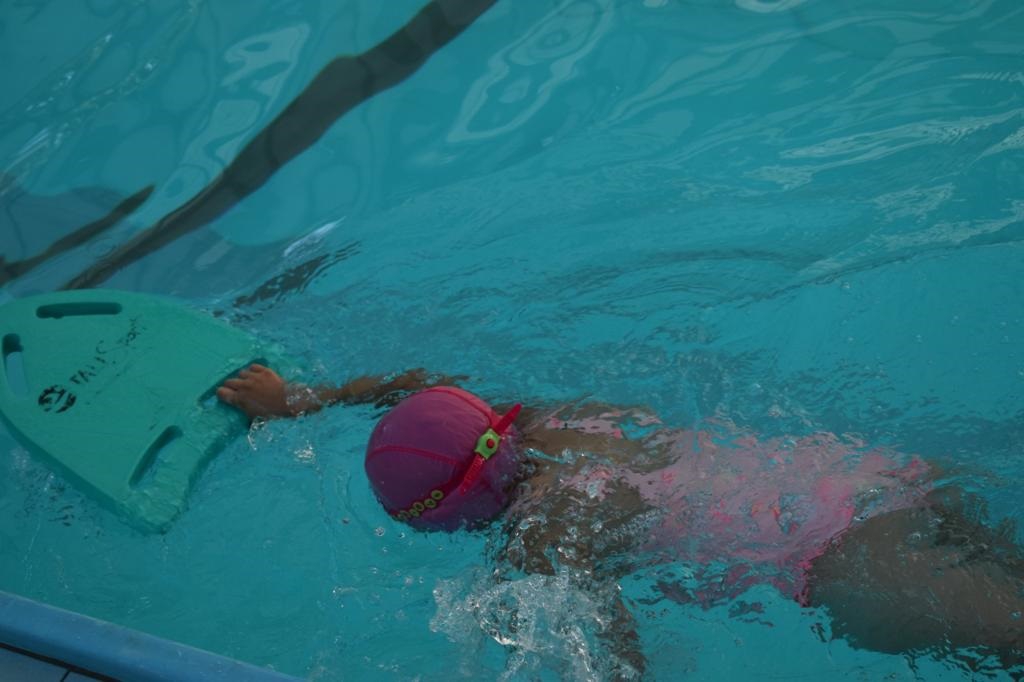 פורטל הכרמל