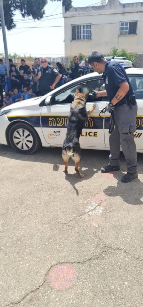 פורטל הכרמל