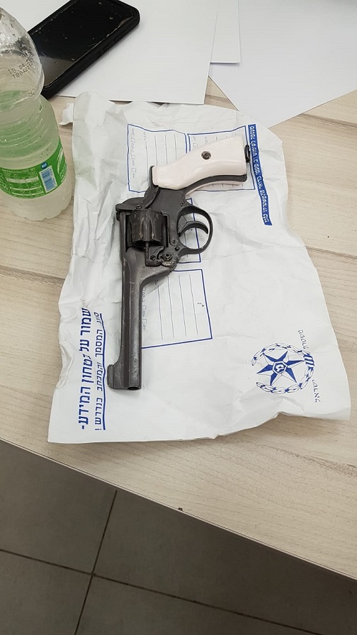 פורטל הכרמל