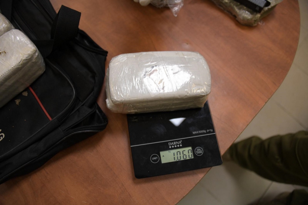 פורטל הכרמל