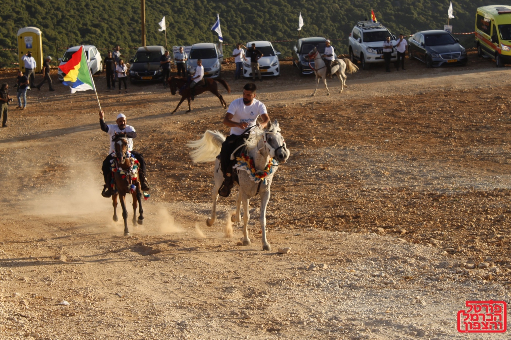 פורטל הכרמל