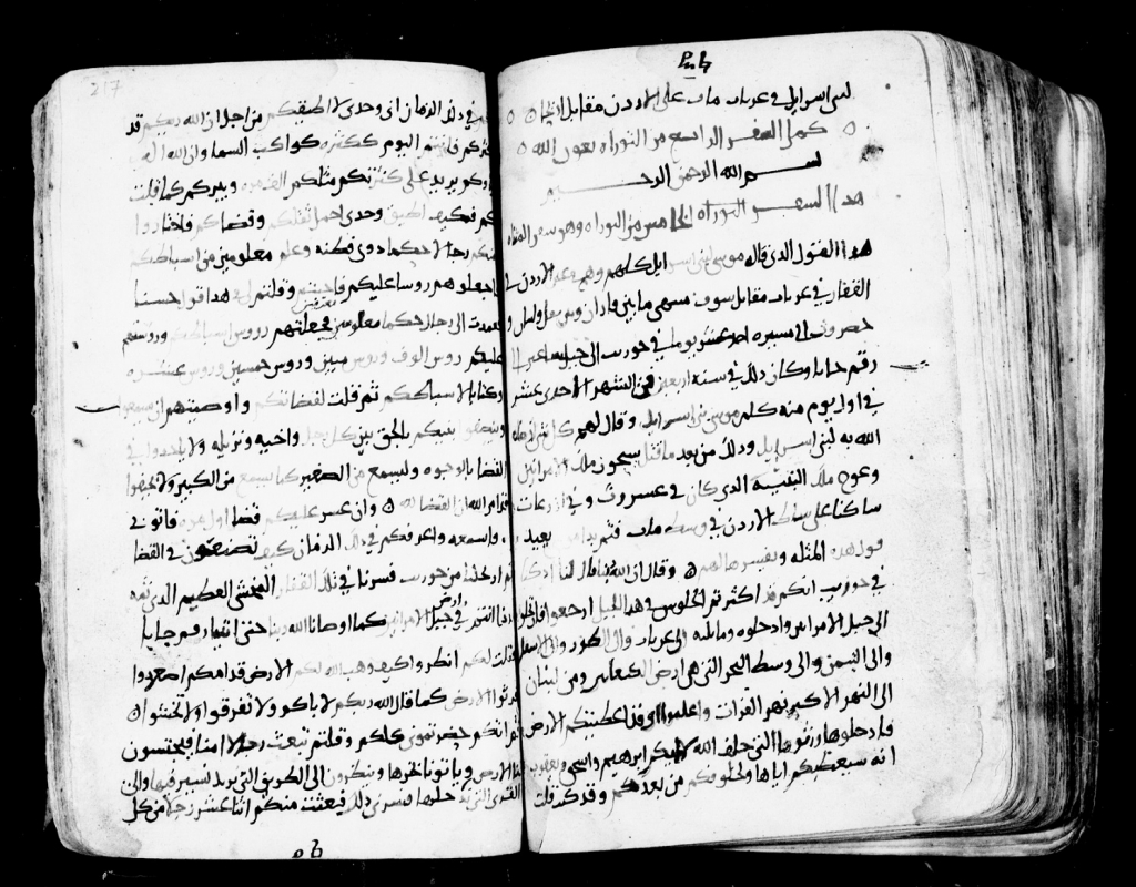 פורטל הכרמל