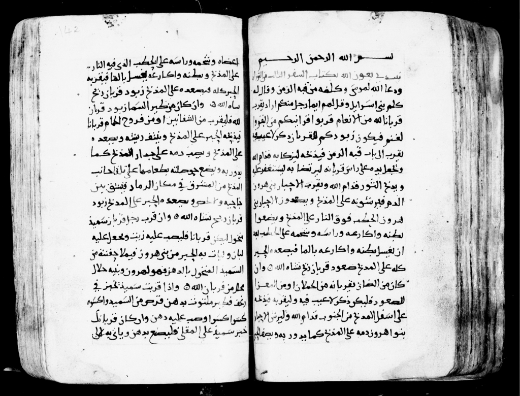 פורטל הכרמל