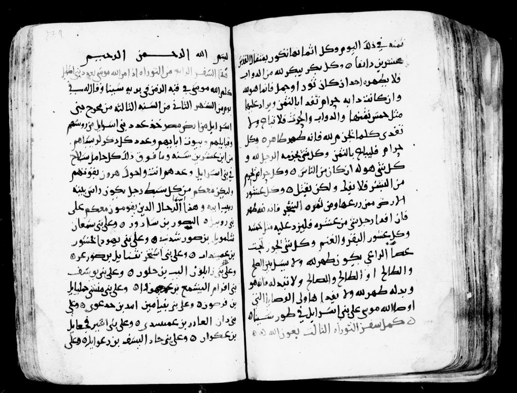 פורטל הכרמל