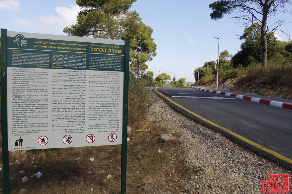 פורטל הכרמל