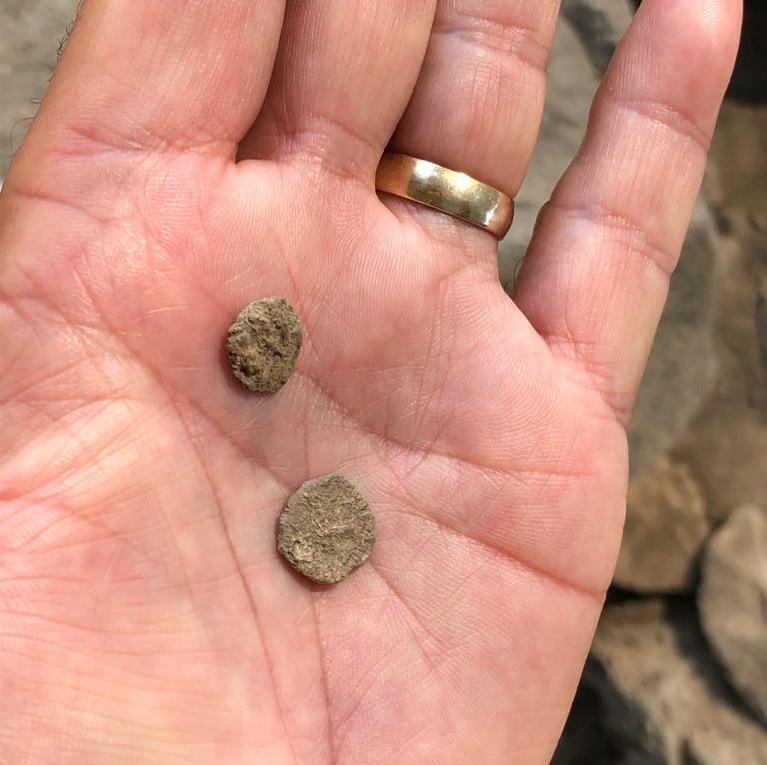 חופרים בזמן