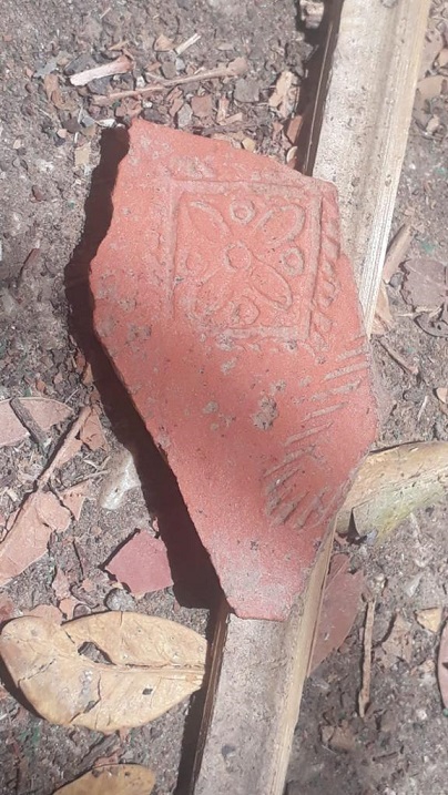 פורטל הכרמל