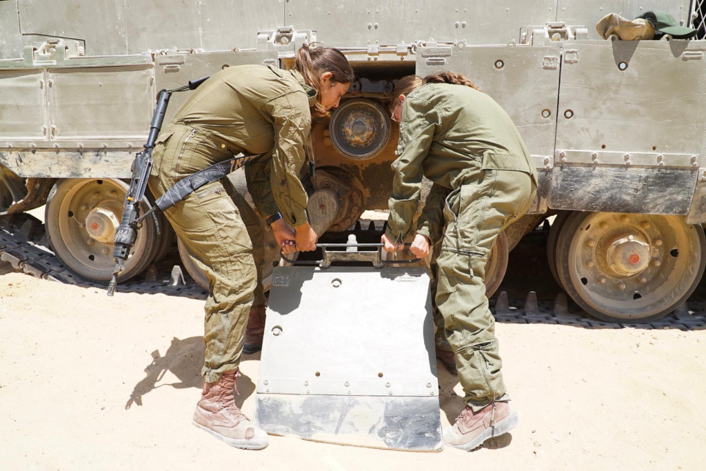 פורטל הכרמל