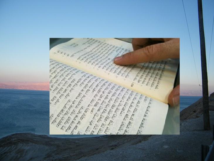 פרשת השבוע בראשית