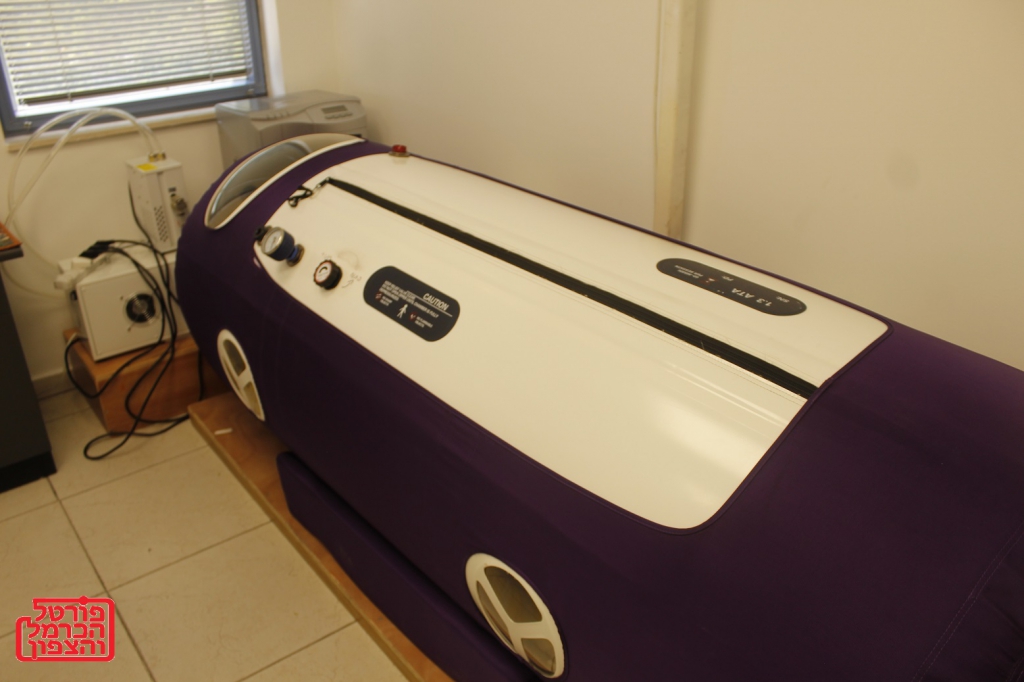 פורטל הכרמל