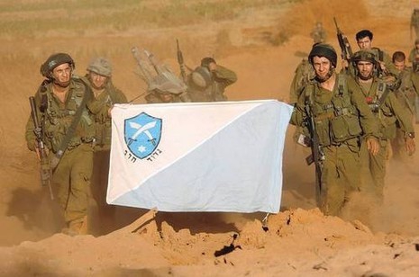 פורטל הכרמל