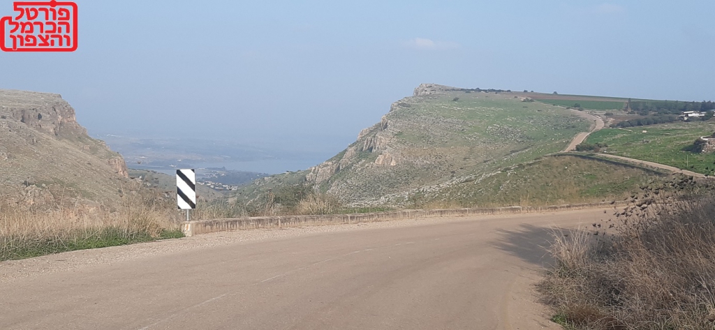 שערים יציגים למטבעות חוץ מיום 19/05/2025