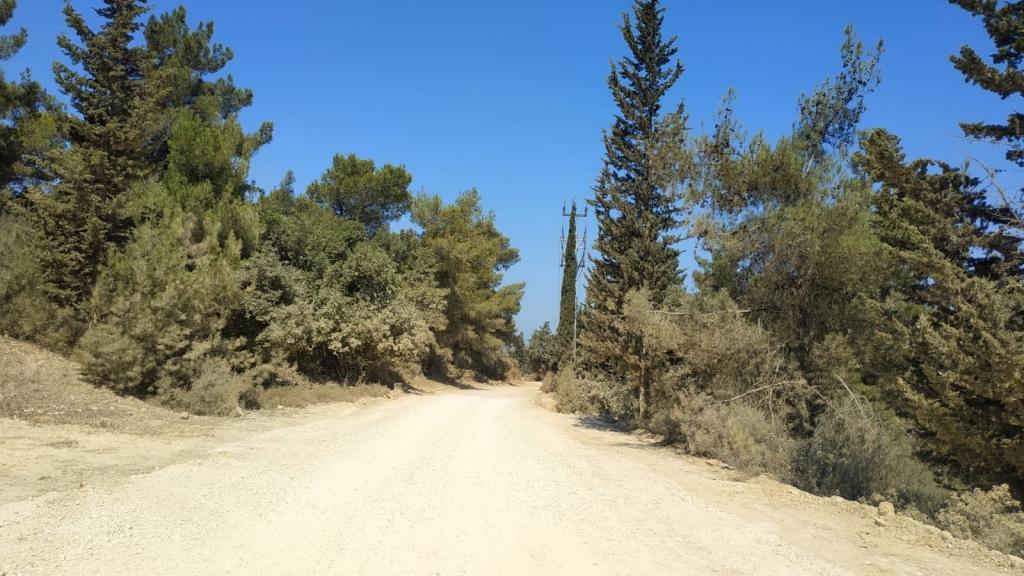 פורטל הכרמל