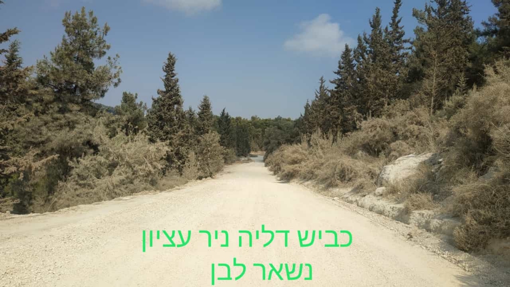 פורטל הכרמל