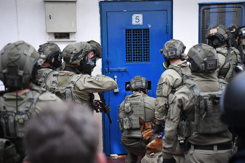 פורטל הכרמל