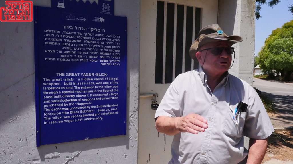 פורטל הכרמל