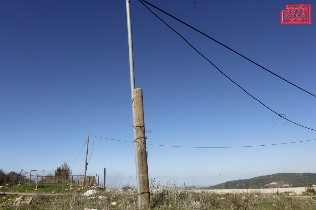 פורטל הכרמל