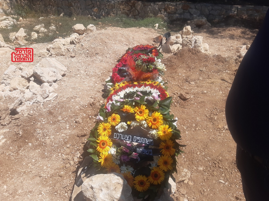 פורטל הכרמל