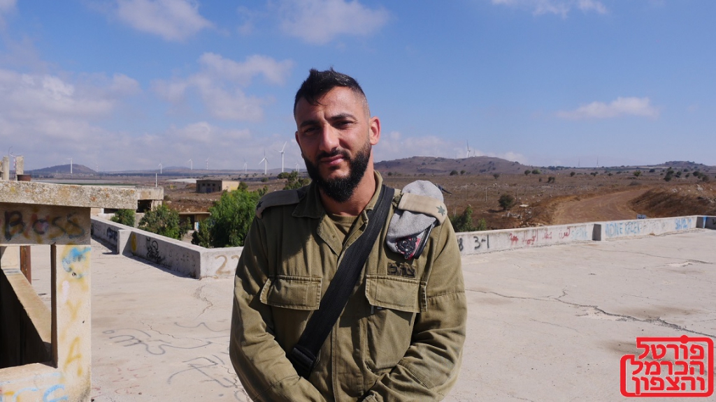 פורטל הכרמל