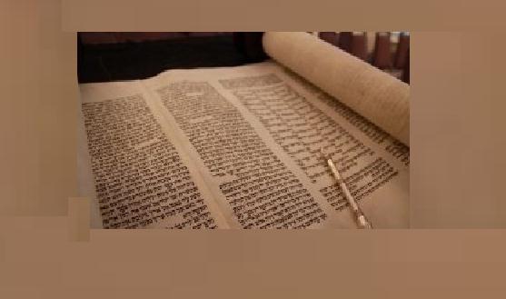 נקודות התייחסות מפרשת השבוע פרשת שופטים