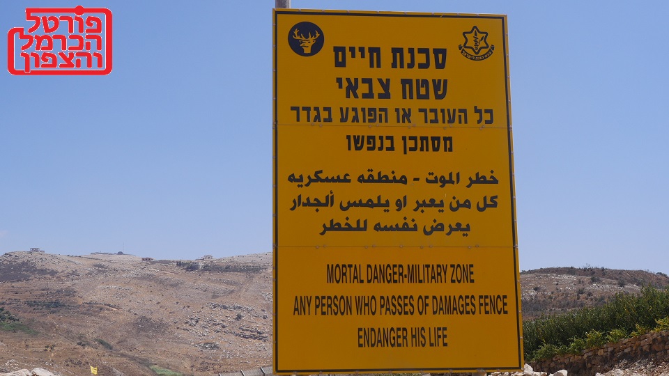 פורטל הכרמל