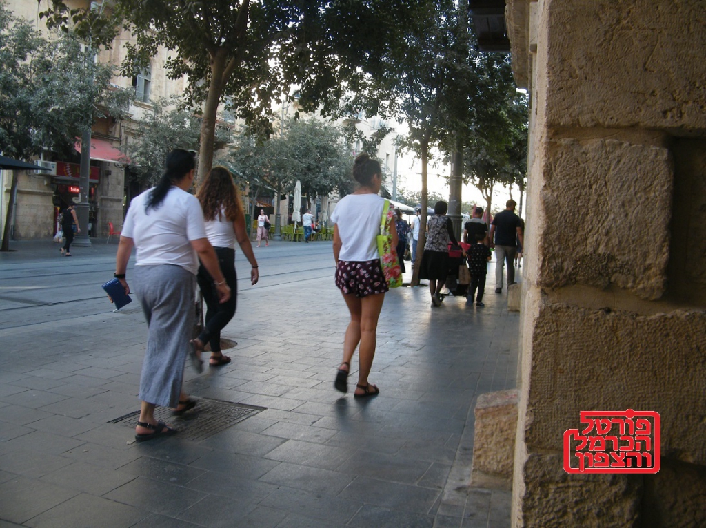 פורטל הכרמל