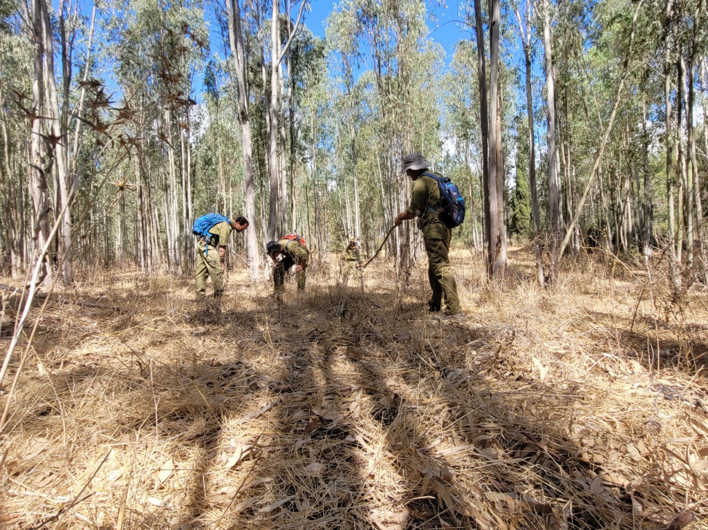 פורטל הכרמל