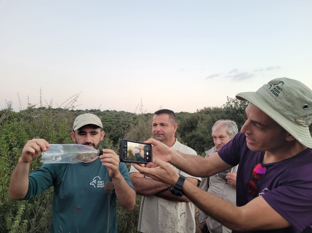 פורטל הכרמל