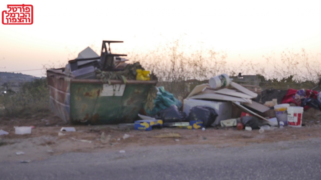 מה קורה לכם מועצת דאלית אל כרמל ?